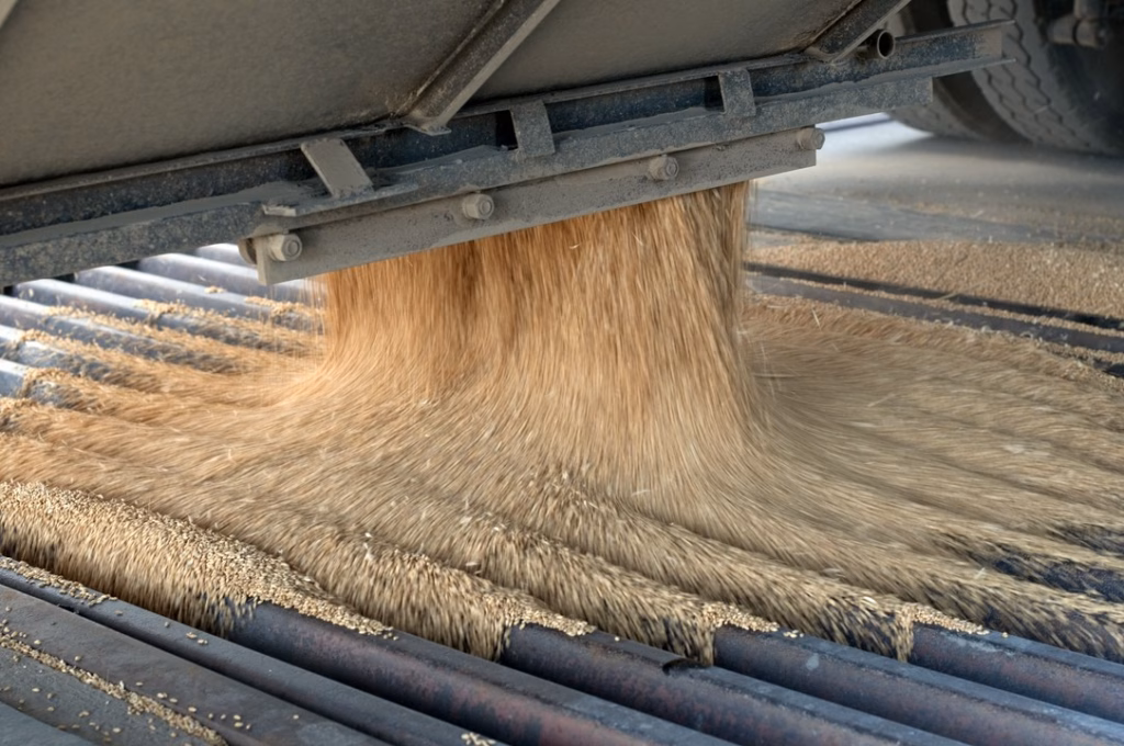 maszyny do czyszczenia zboża